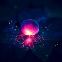 anima - macro photo, rainy forest, 1girl, glowing, night, fantasy, fairy forest, colorful details, bokeh