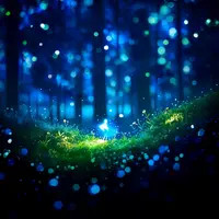 anima - macro photo, rainy forest, 1girl, glowing, night, fantasy, fairy forest, colorful details, bokeh